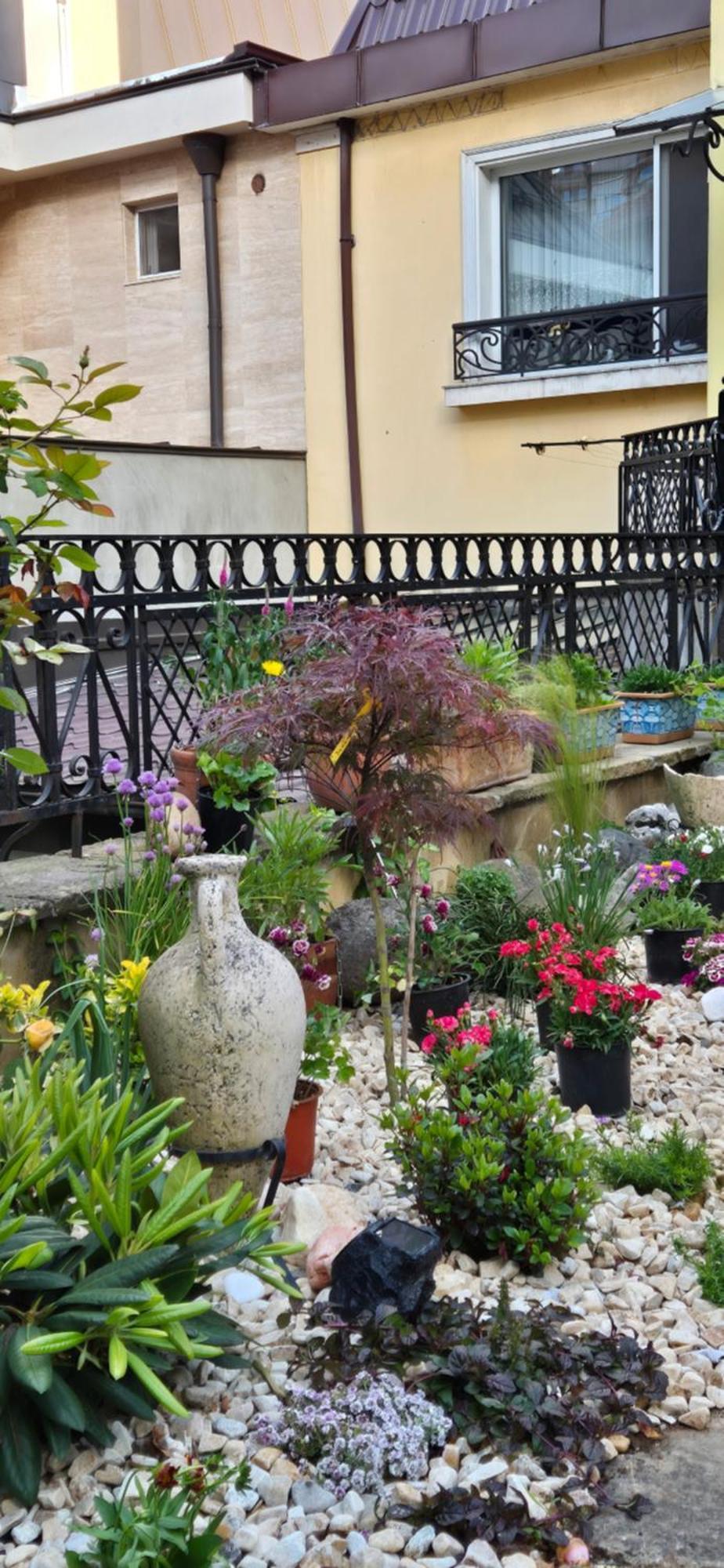 Luxury Private House In City Center Veliko Tarnovo Quarto foto